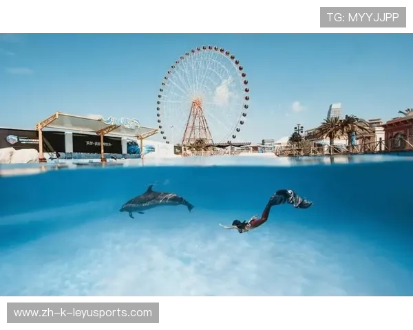 冲浪比赛突然跳出海豚,选手与海豚同框成奇景